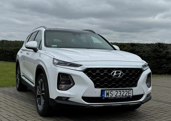 Hyundai Santa Fe cena 147000 przebieg: 62000, rok produkcji 2019 z Siedlce małe 137